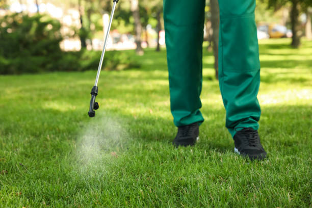 Professional Pest Control in Mendota, CA