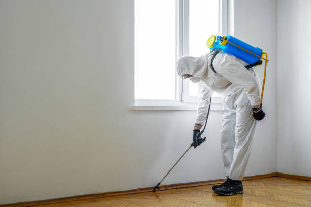 Best Pest Removal Services  in Mendota, CA