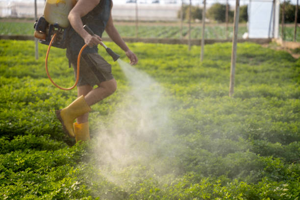Best Pest Control for Homes  in Mendota, CA