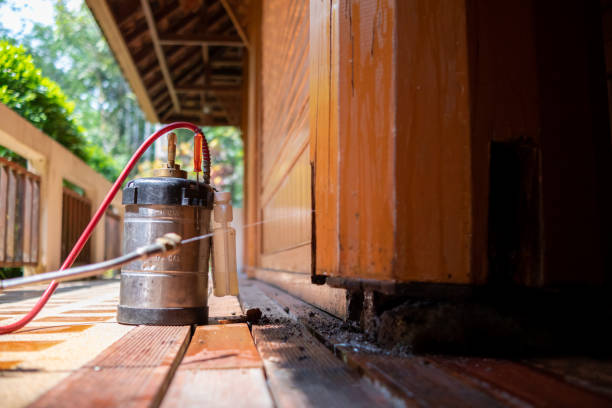 Best Best Pest Control Companies  in Mendota, CA
