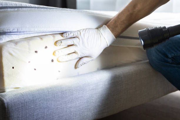 Best Exterminator Services  in Mendota, CA